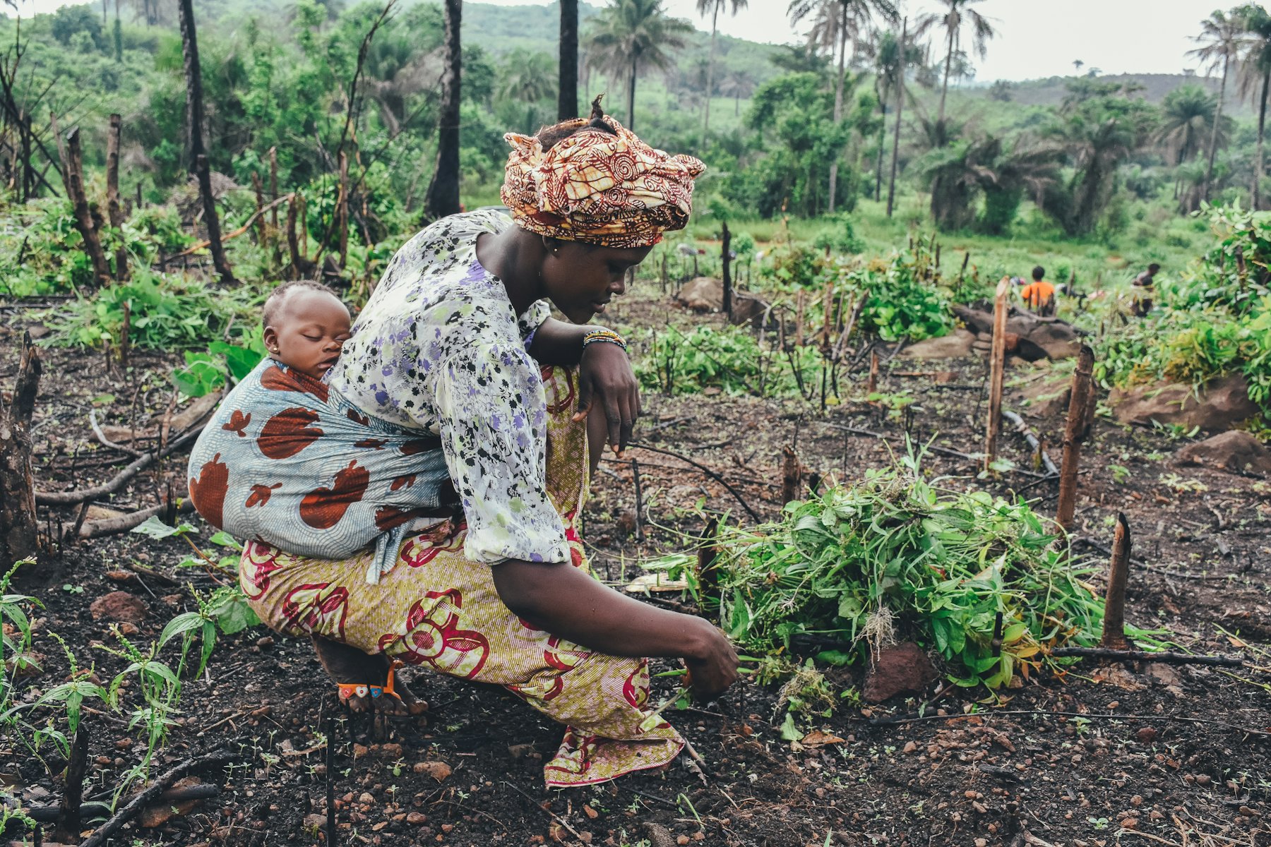 A farmer working a field with her baby on her back